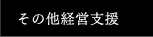 その他経営支援