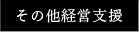 その他経営支援